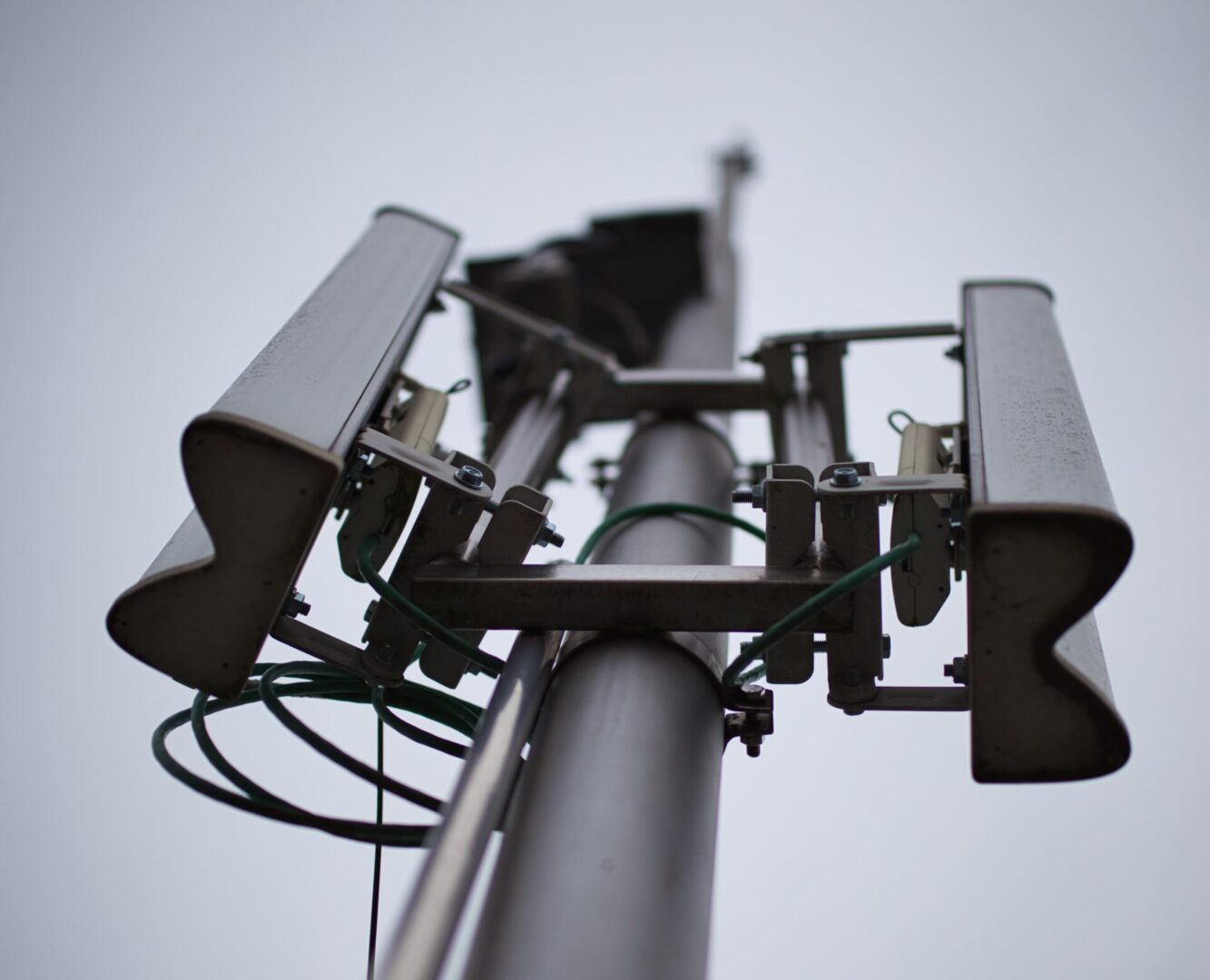 Antenna Closeup